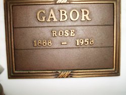 Rose <I>Ivaszuk</I> Gabor 