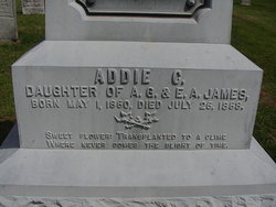 Addie C. James 