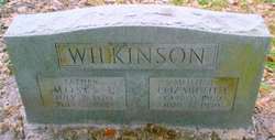Elizabeth F. <I>Staples</I> Wilkinson 