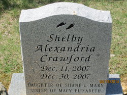 Shelby Alexandria Crawford 
