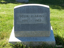 Delia <I>Johnson</I> Akins 