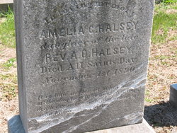 Amelia C Halsey 