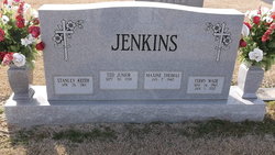 Ted J Jenkins Jr.
