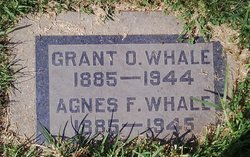 Grant O. Whale 