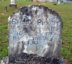 Sarah Louise Pickett 