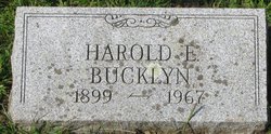 Harold E Bucklyn 