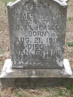 James Lewis Allen 