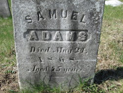 Samuel Adams 