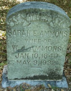 Sarah Elizabeth <I>Dixon</I> Ammons 
