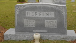 William Everette Herring 