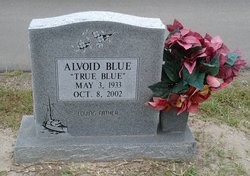 Alvoid “True Blue” Blue 