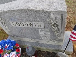 William Farr Goodwin Jr.