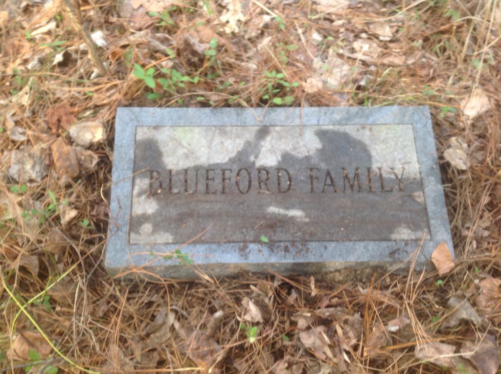 Bluford Family Cemetery