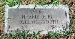 Harrie Joel Hollingsworth 