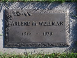 Arlene <I>Broeder</I> Wellman 