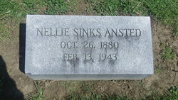 Nellie Mildred <I>Sinks</I> Ansted 