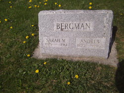 Sarah M. B. <I>Caryer</I> Bergman 