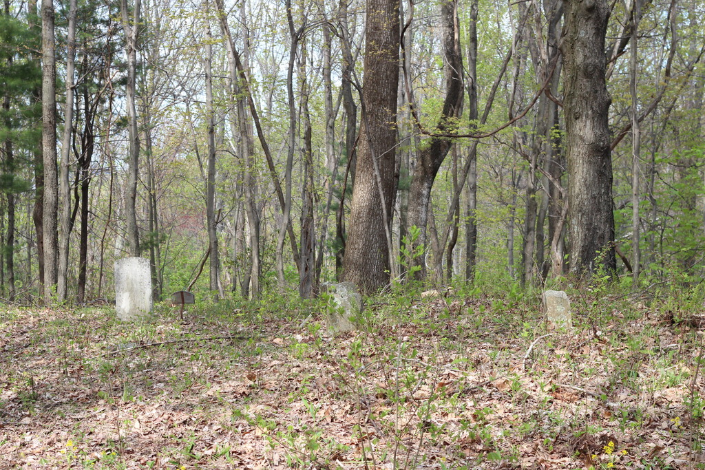 Charles Haden Williams Cemetery