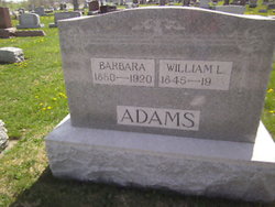 William L Adams 