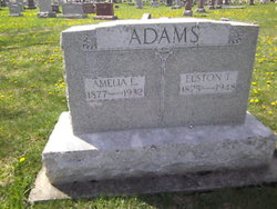 Amelia E Adams 