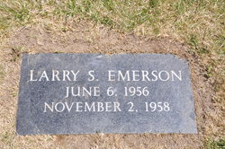 Larry S Emerson 