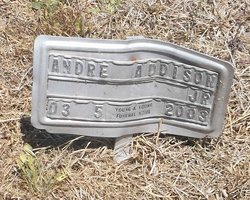 Andre Addison Jr.
