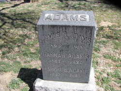 Hannah <I>Allen</I> Adams 
