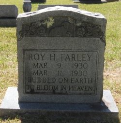 Roy H. Farley 