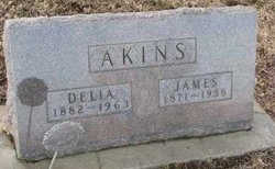 Delia J. <I>St. Pierre</I> Akins 