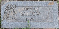 Baby Boy Barlow 