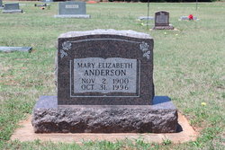 Mary Elizabeth Anderson 