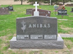 David L. Anibas 