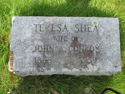 Teresa “Tess” <I>Shea</I> Conroy 