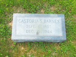 Castoria <I>Shearer</I> Barnes 