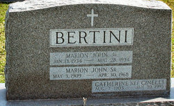 Catherine <I>Cinelli</I> Bertini 