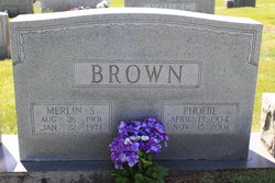 Merlin Sparger Brown 
