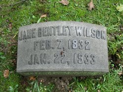 Sarah Jane <I>Bentley</I> Wilson 
