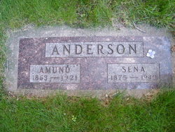 Amund O. Anderson 