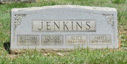 Charles William Jenkins Jr.