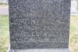 Charles Walter Hawkins 
