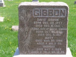 David Gibbon 