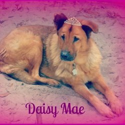 Daisy Mae “Princess Daisy Mae” Ashmore 
