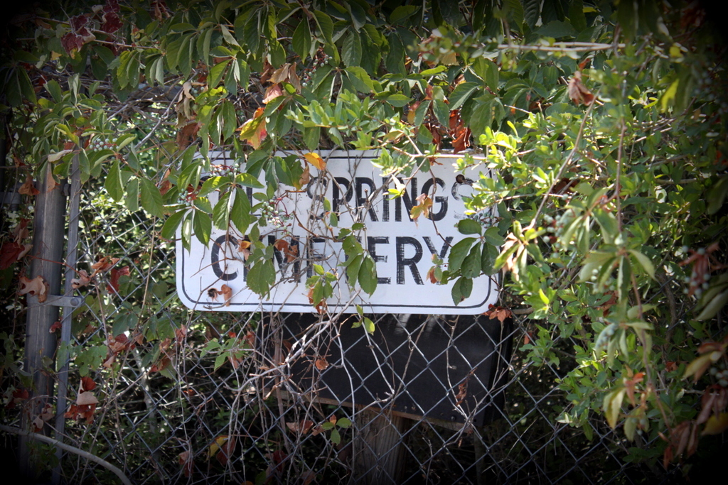 Cole Springs Cemetery