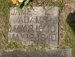 James Lloyd Adams 