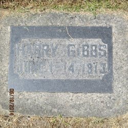 Harry Gibbs 
