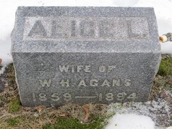 Alice L Agans 