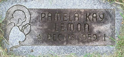 Pamela Kay Lemon 