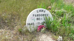 Emma Pandowee Brain 