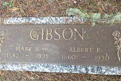 Albert Edgar Gibson 