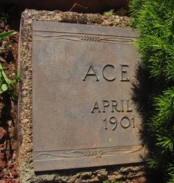 Ace A Cecil Adams 